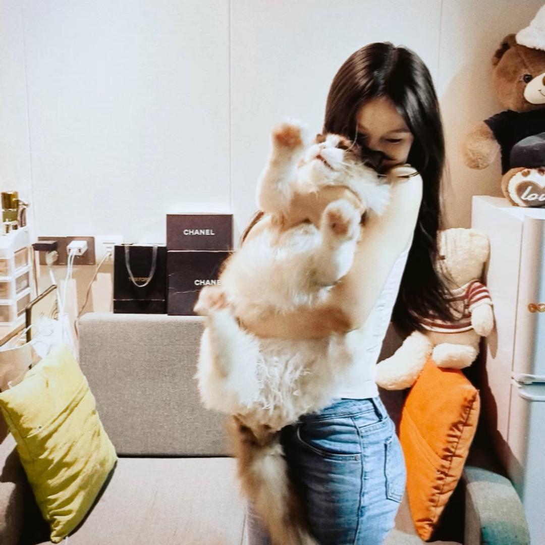 我爱吃肉松小贝