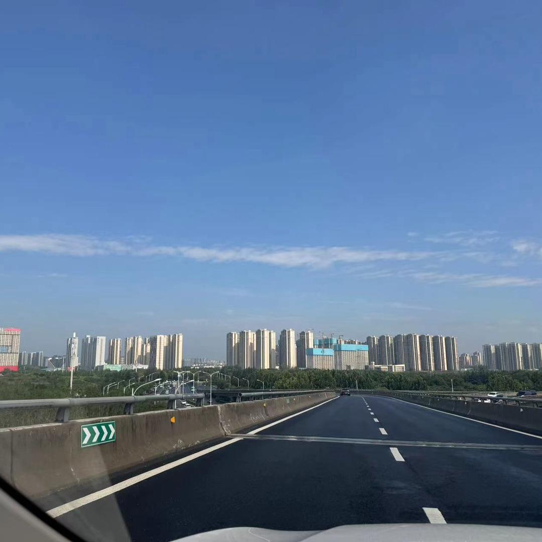 阿呆聊宠物