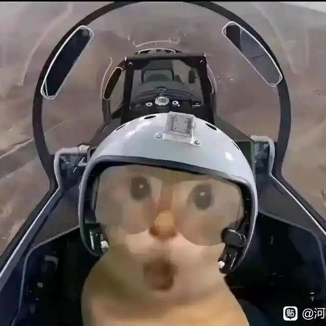 传奇机长（已退）