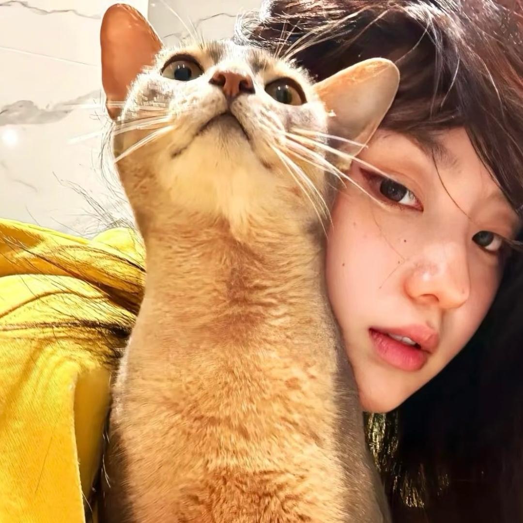 小棉花-