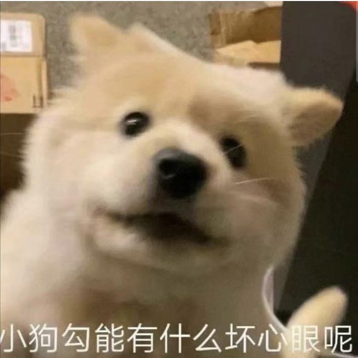 🍅番茄炒西红柿