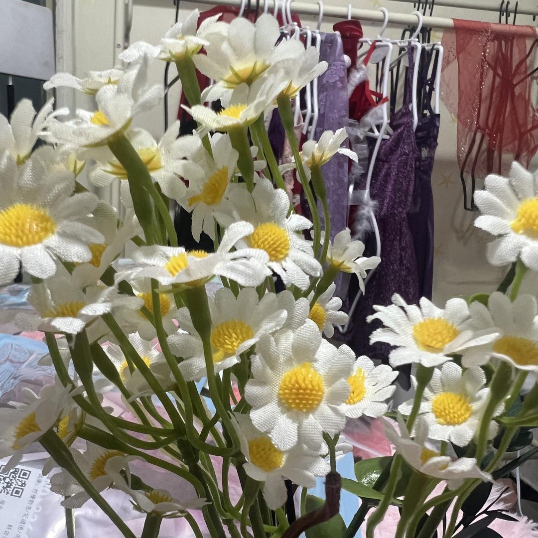 黛崎百货严选店