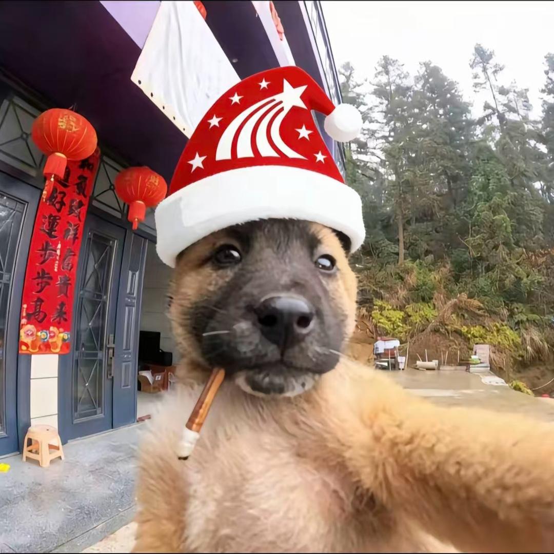 婷.
