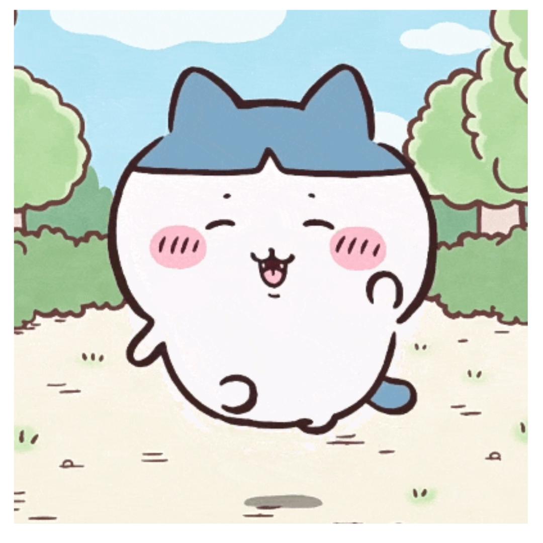 无敌小八