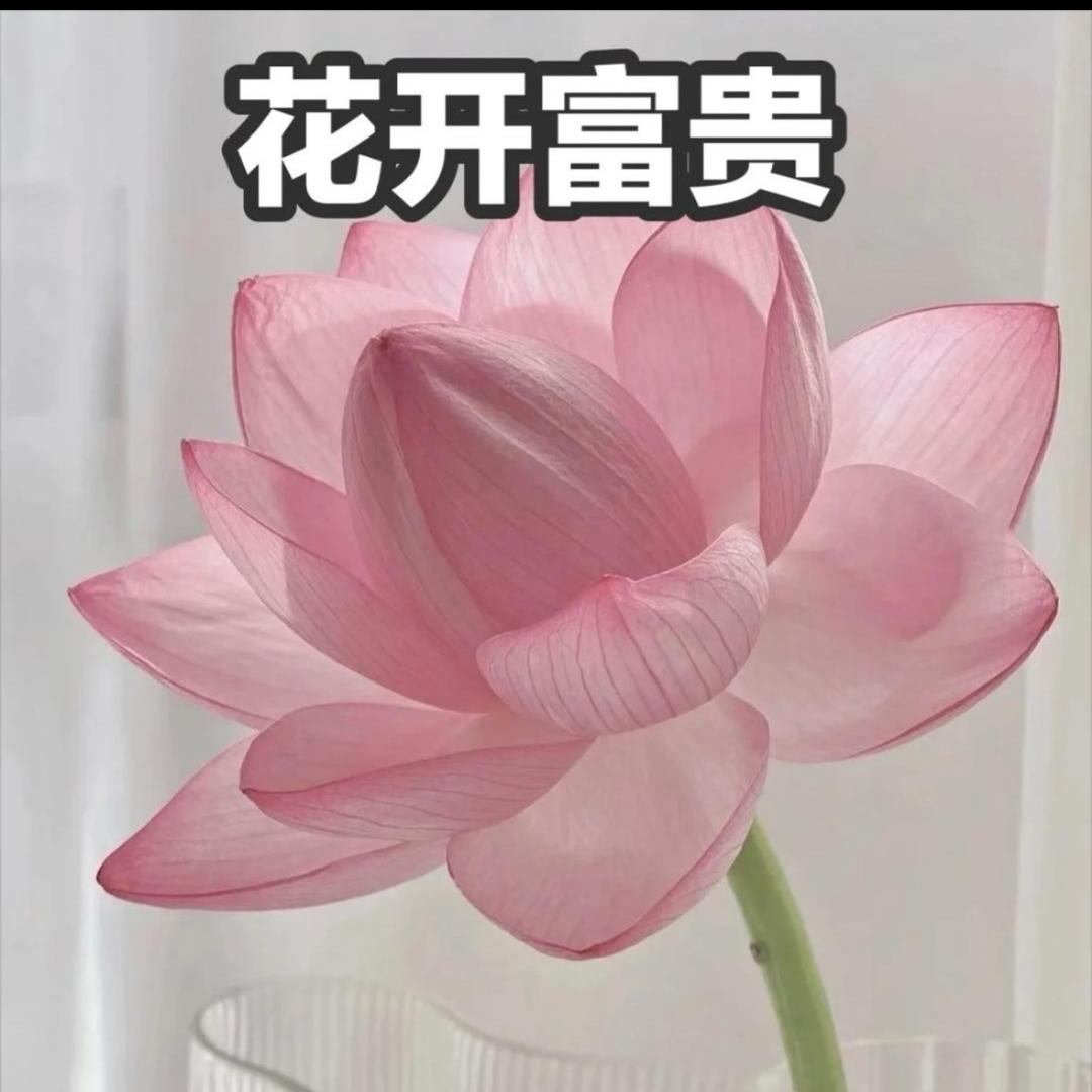 润芝💗