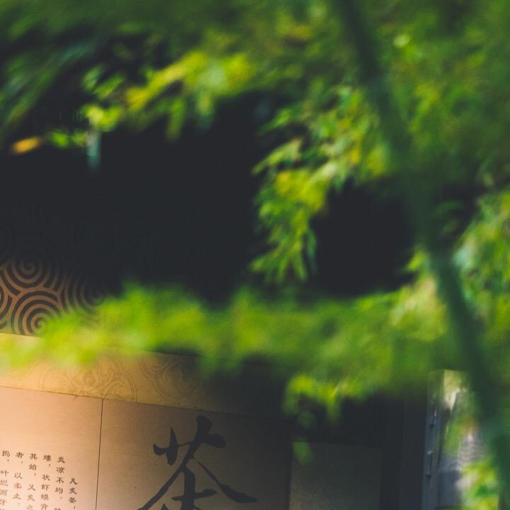 情晴尔美