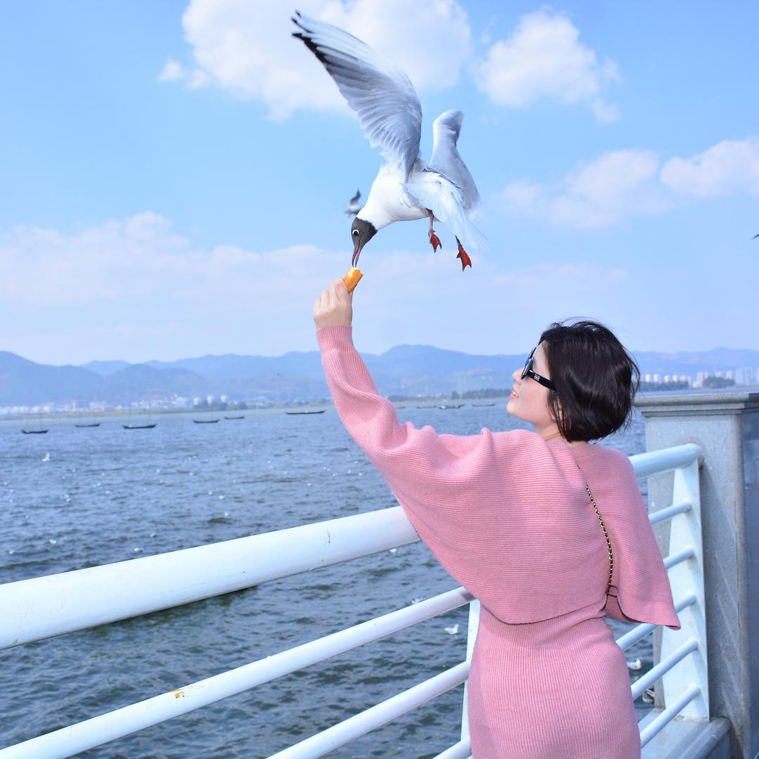 小海鸥🐟