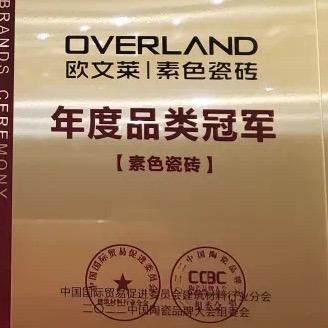 保定瓷砖欧文莱瓷砖纳莱瓷砖