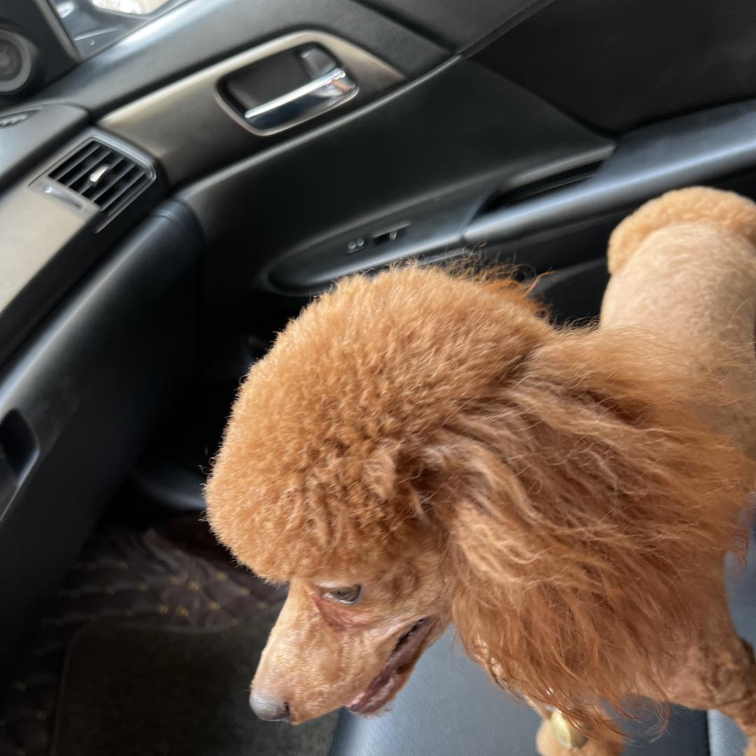 强老板木作文玩店