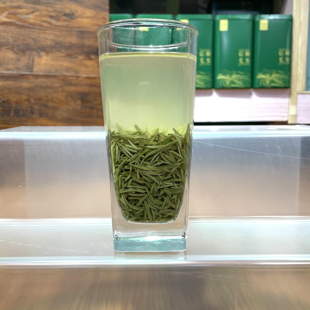 信叶信阳毛尖小店