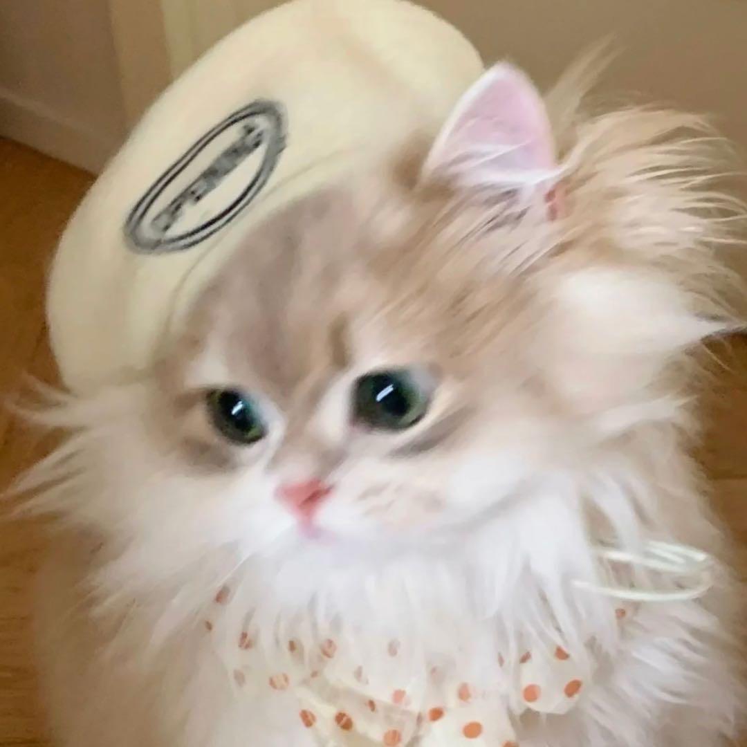 沈澜lanlan