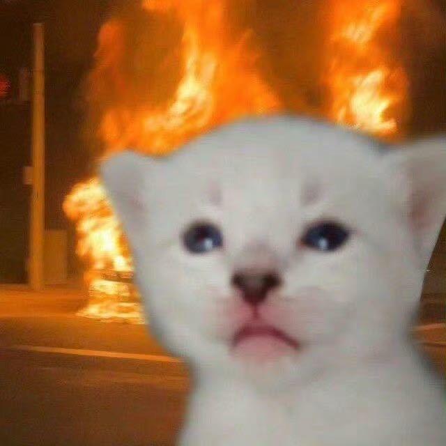 黑木Ku_b