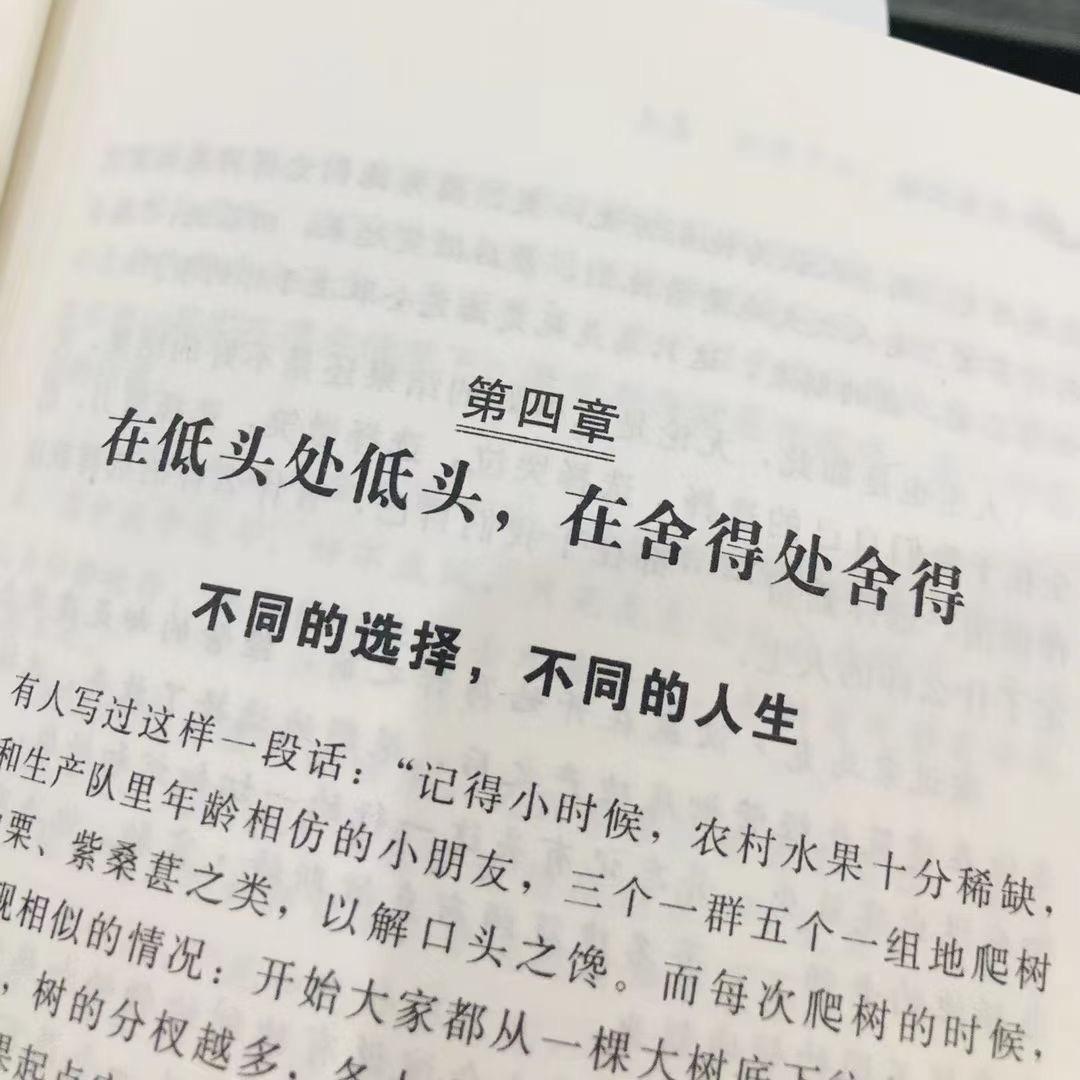 宋导