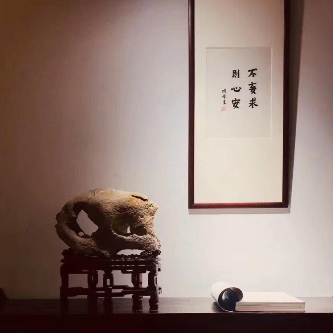 云白赏石