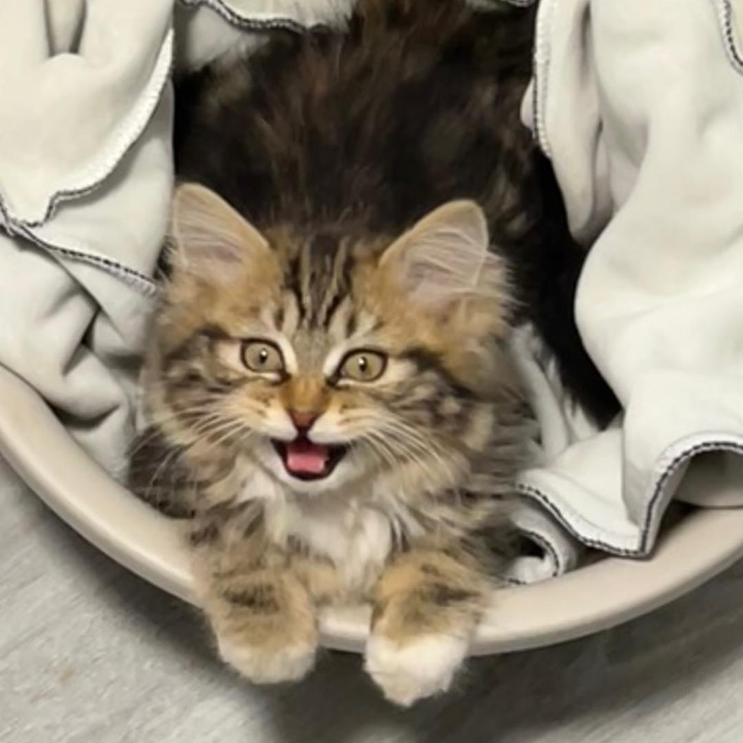 差点冻死在夏天