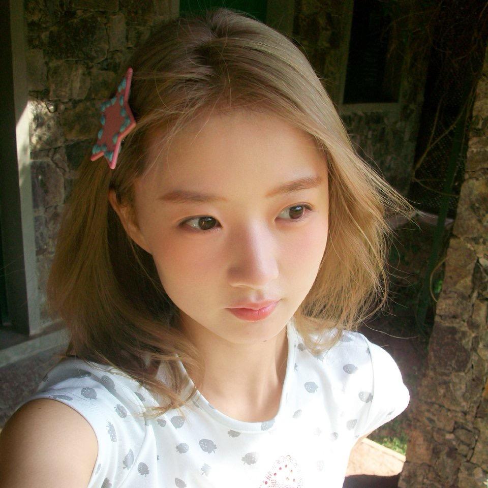 霹雳旋风霸王龙