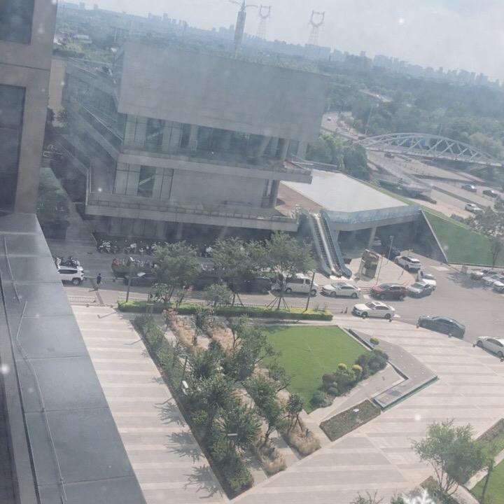 老杨tk直播号
