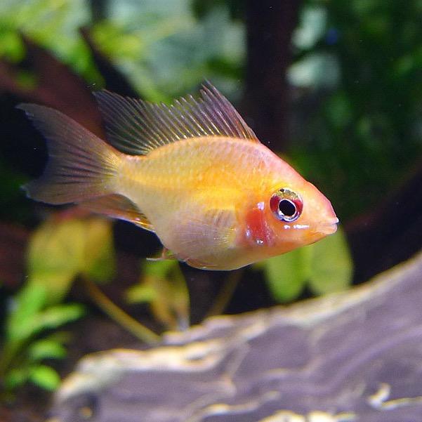 曲阜市奇妙家居用品销售中心