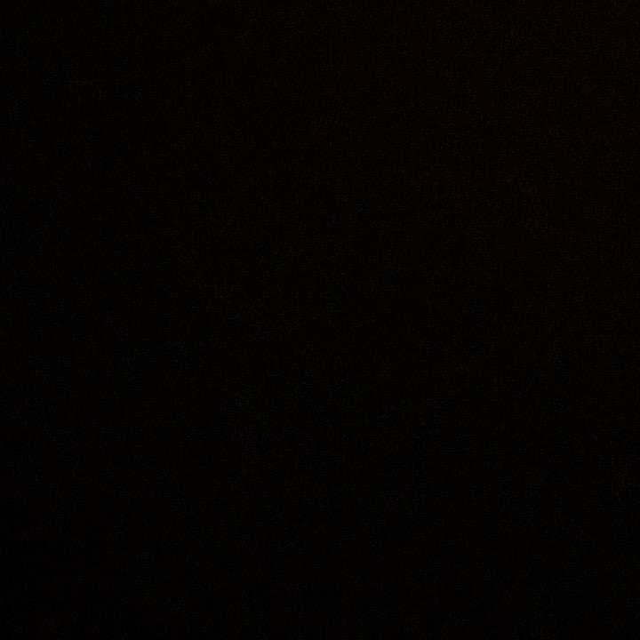 小熊饼干与奥利奥