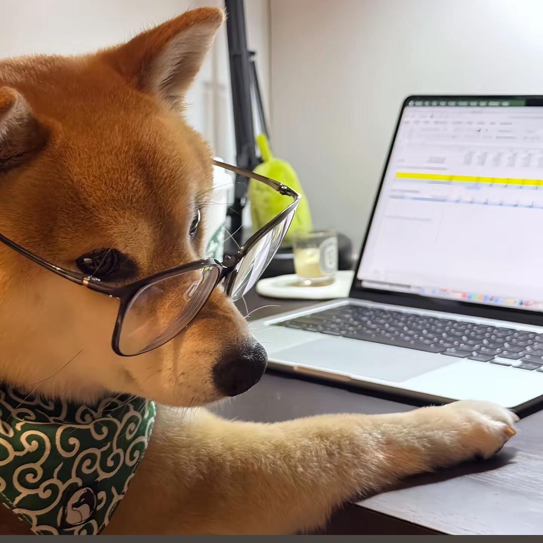 吃不饱噜🇨🇳