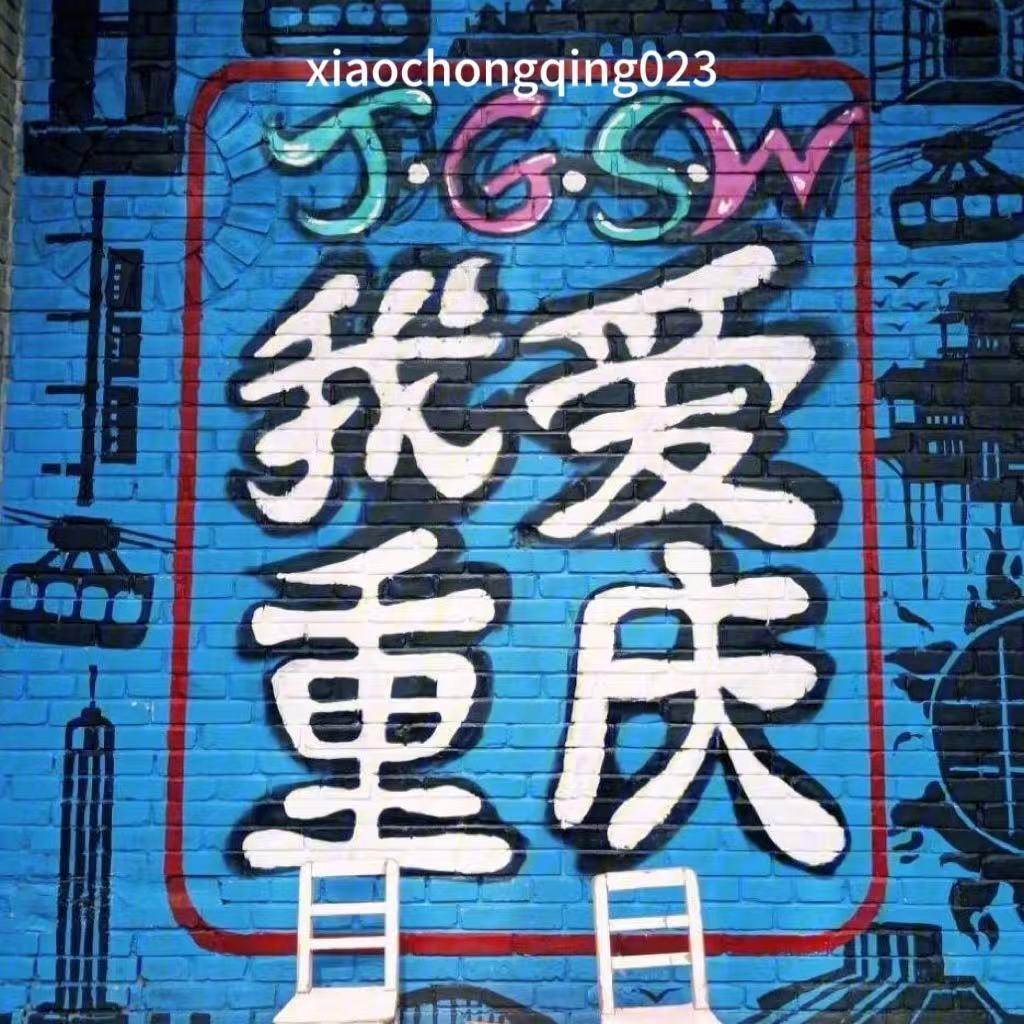 重庆导游小龙（高端旅游定制）