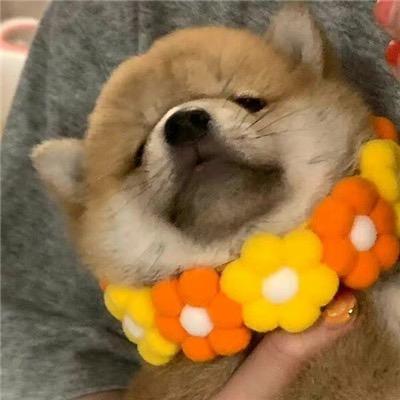 黎黎原上草