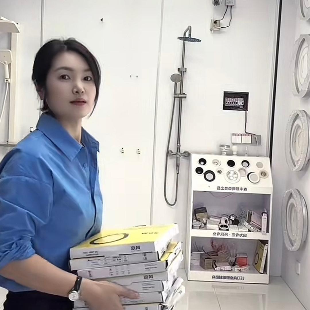 泗阳闪亮照明  浙派厨电