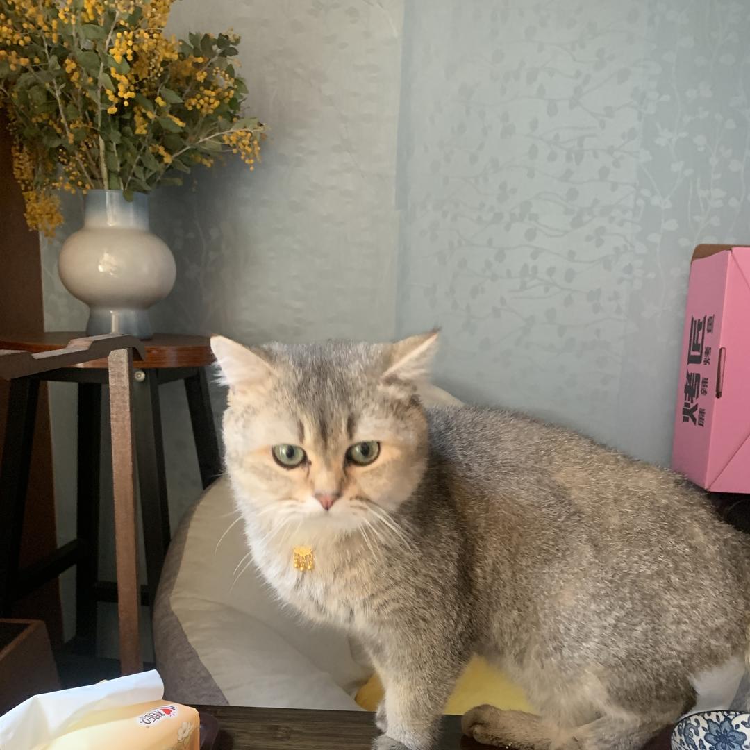 辉腾高定首饰店