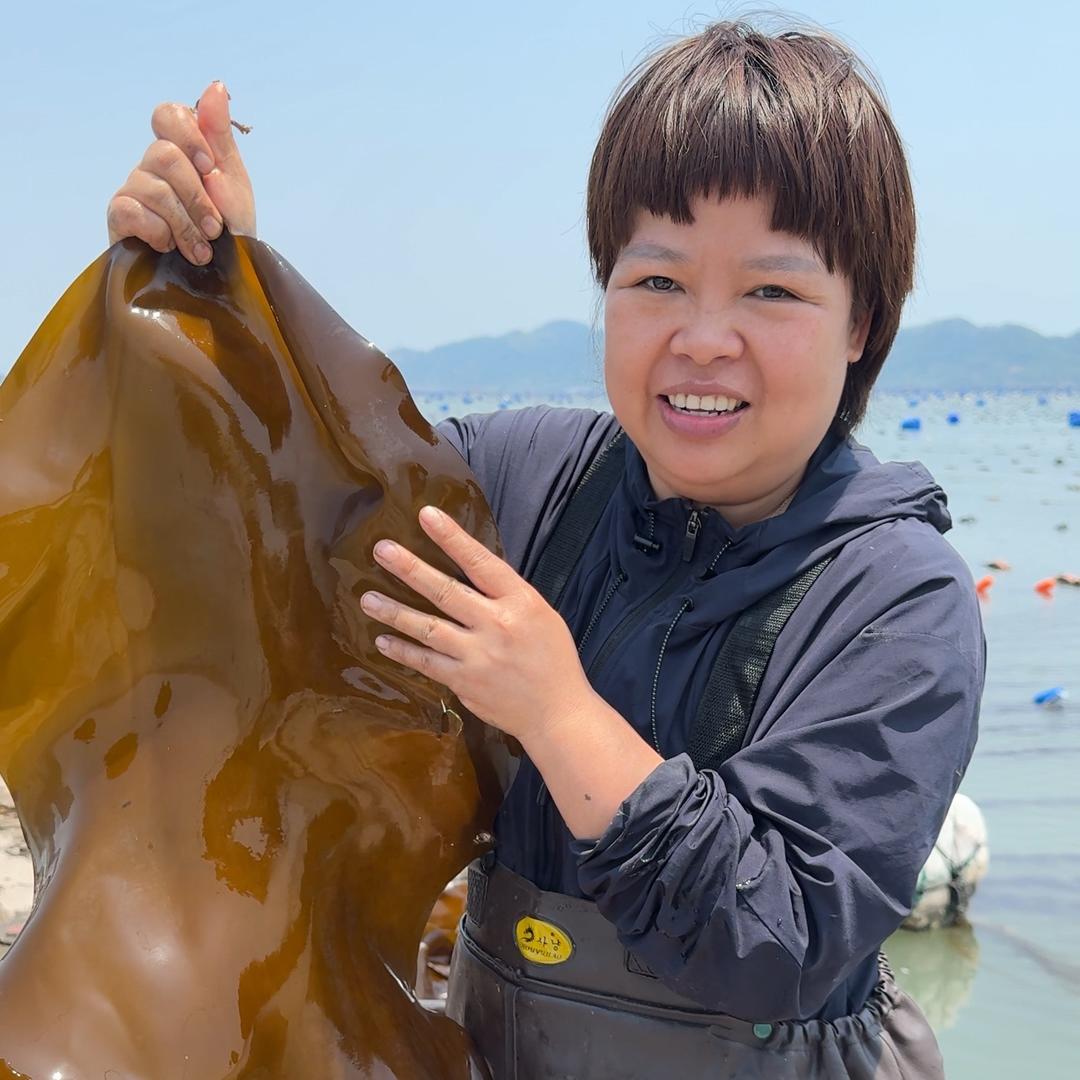 亿鲜谷海带头