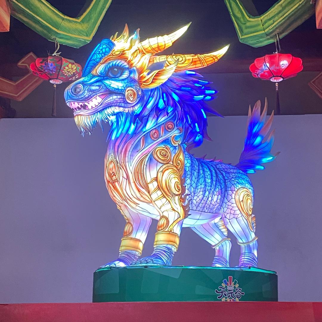 诺淇