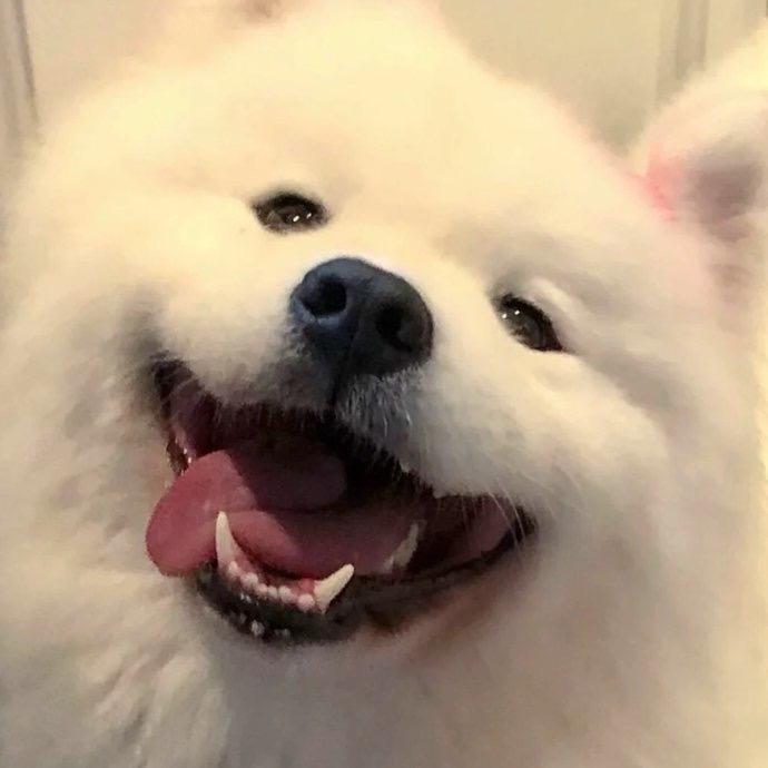 兔呦塔