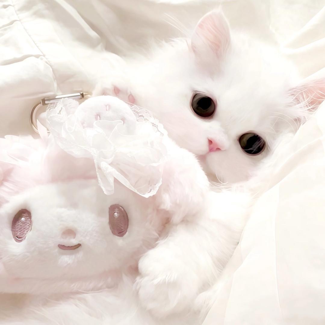 Pear（雪山领队）