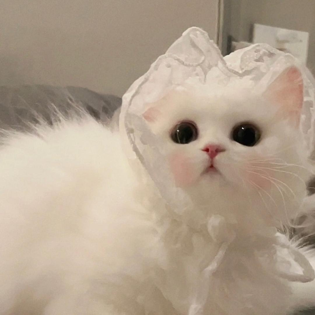 王在在