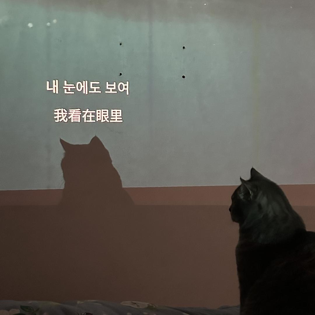 派大星🍼🍼🍼