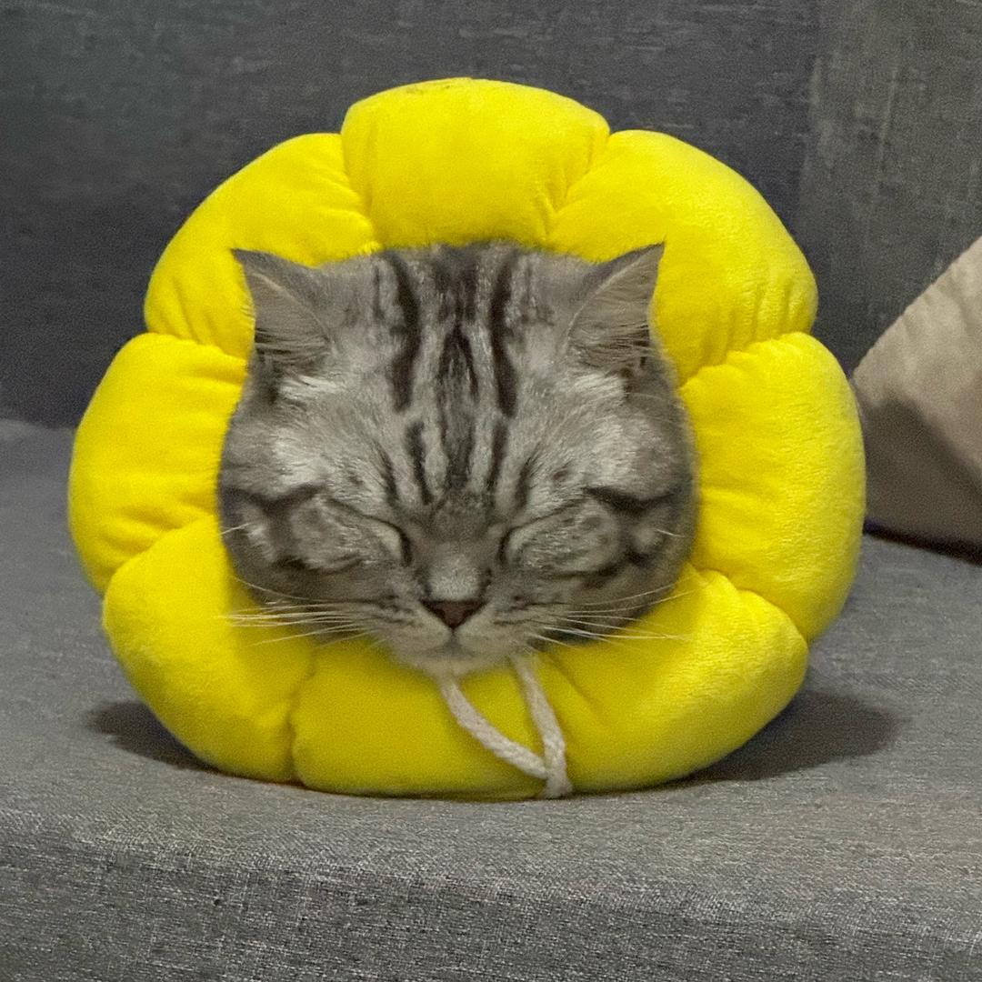 初二