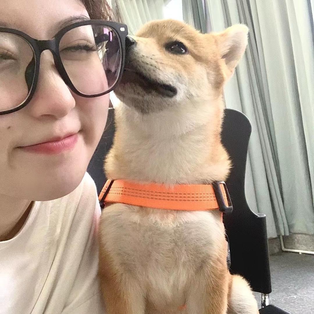 总是很困