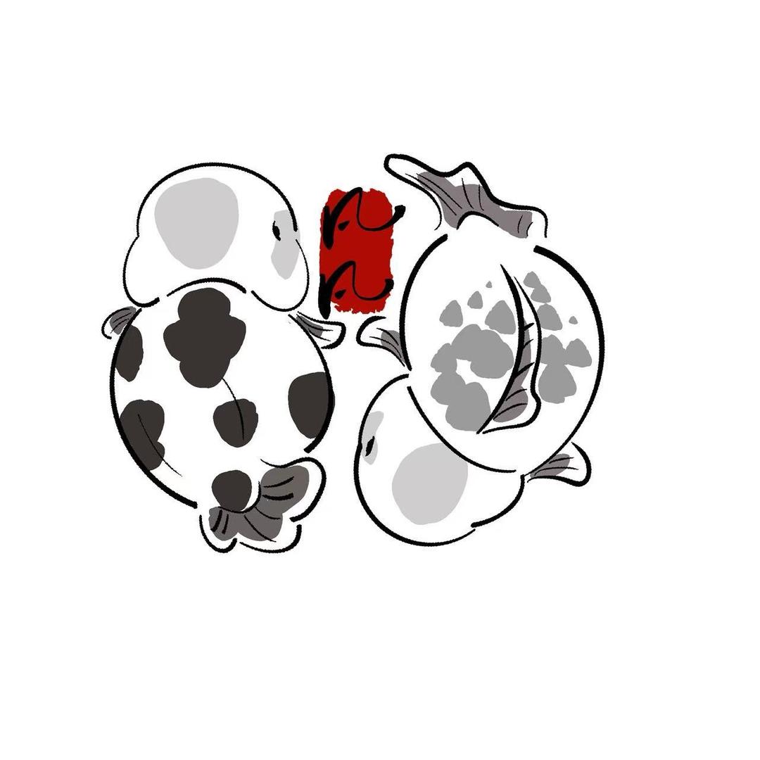 凡凡（鱼房布置中）