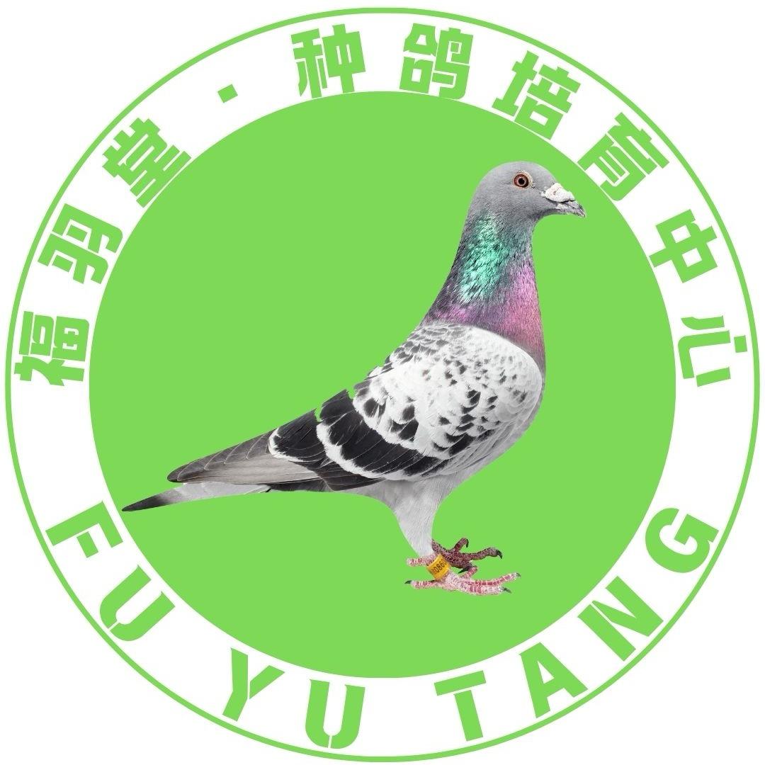 福羽堂助教小鹏
