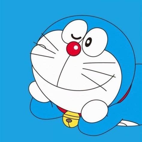 养猫de鱼儿头像