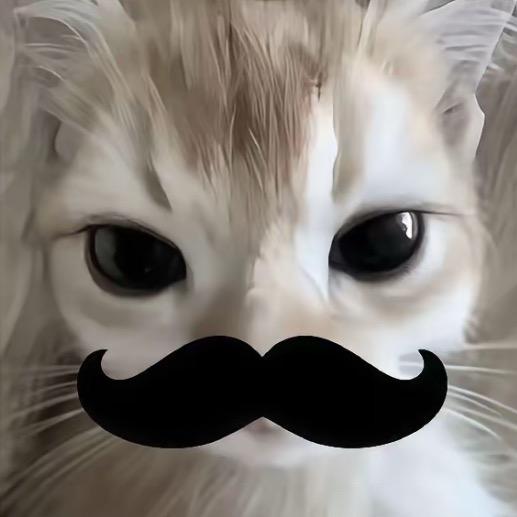 丸子。衮