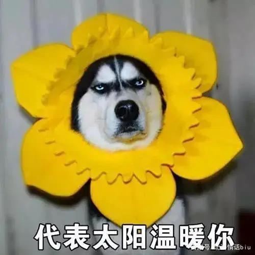 可是