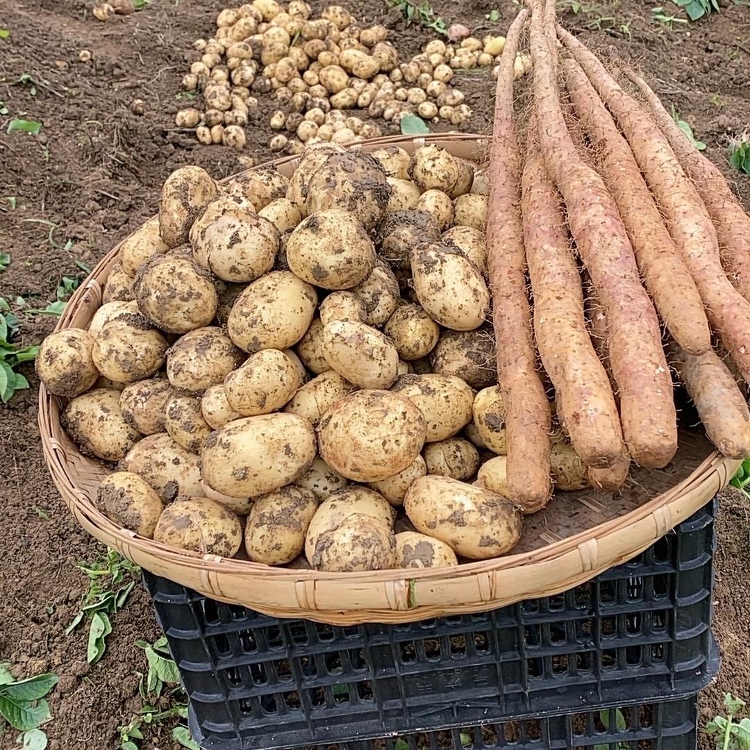 贵州生鲜特产精品店