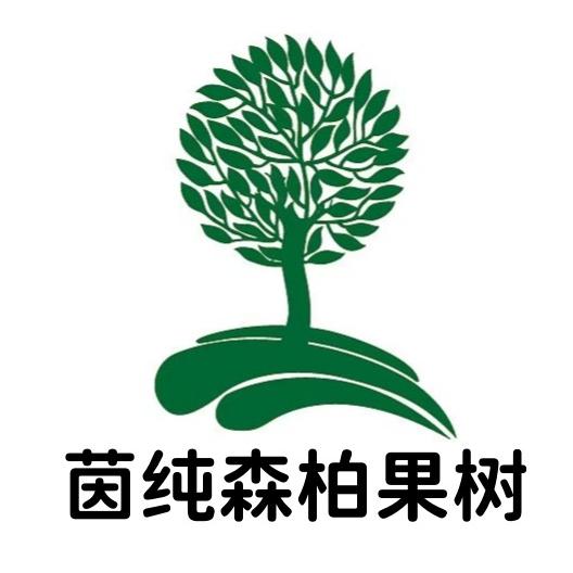 茵纯森柏果树苗木专卖店
