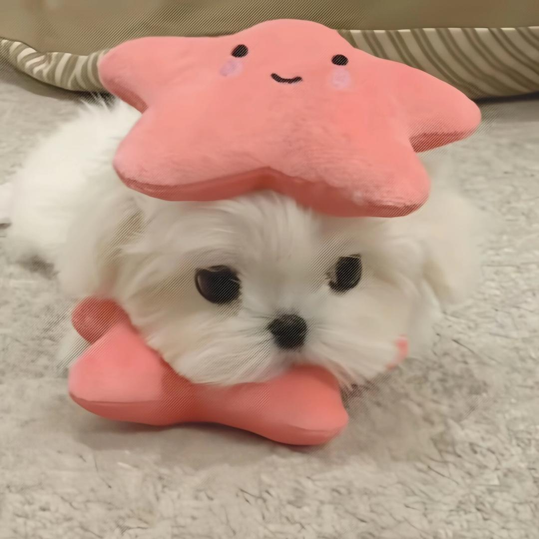 11111