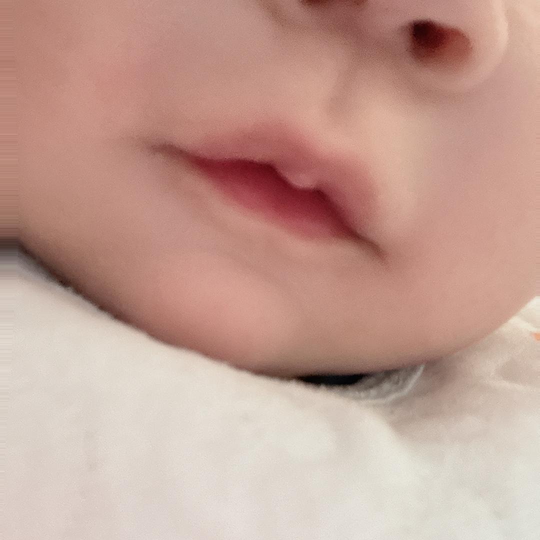 小鱼~
