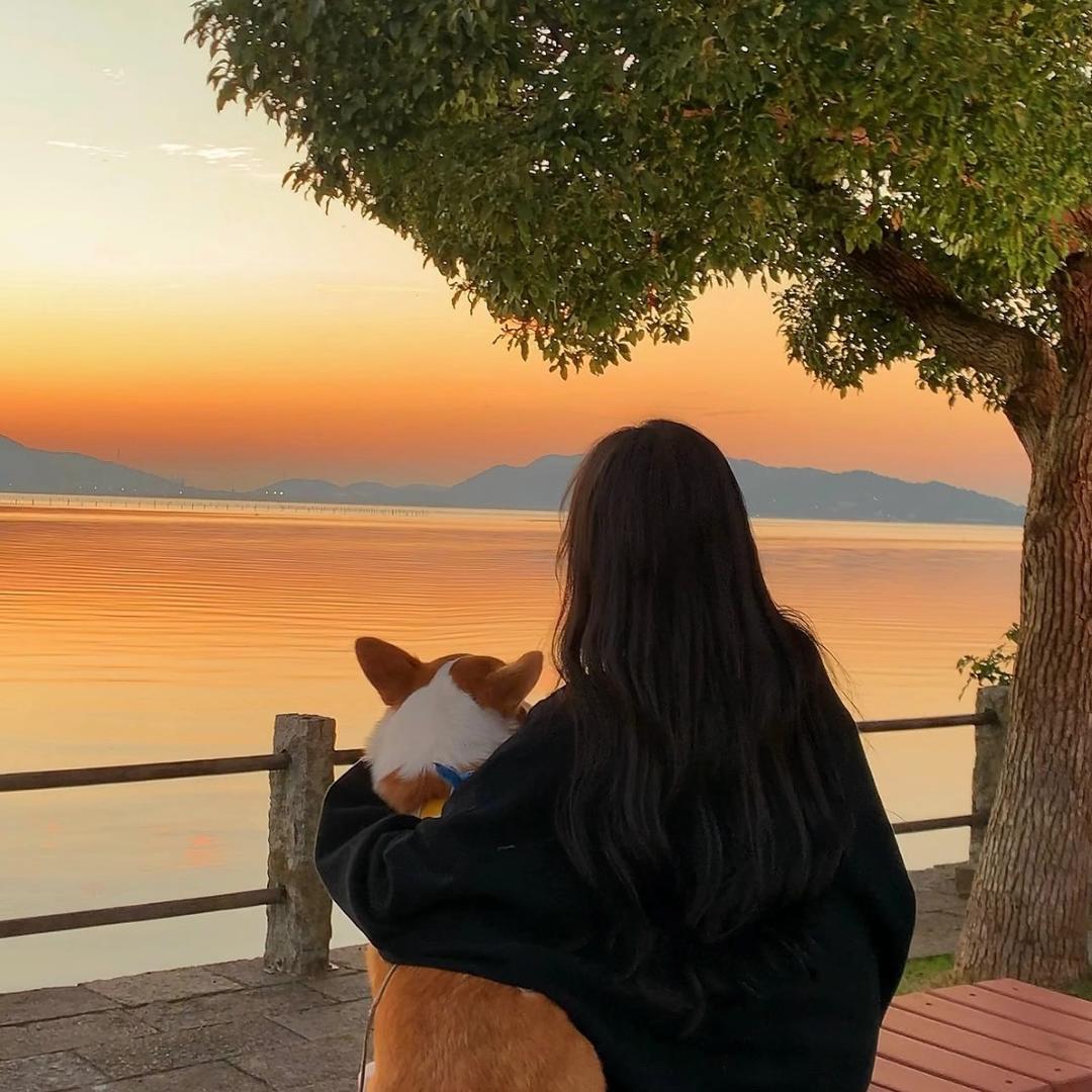 财神爷的心尖宠