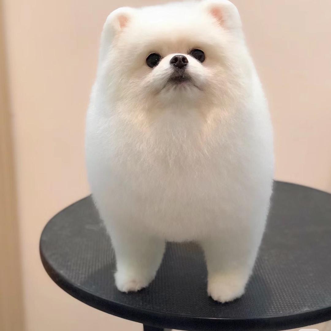 然然