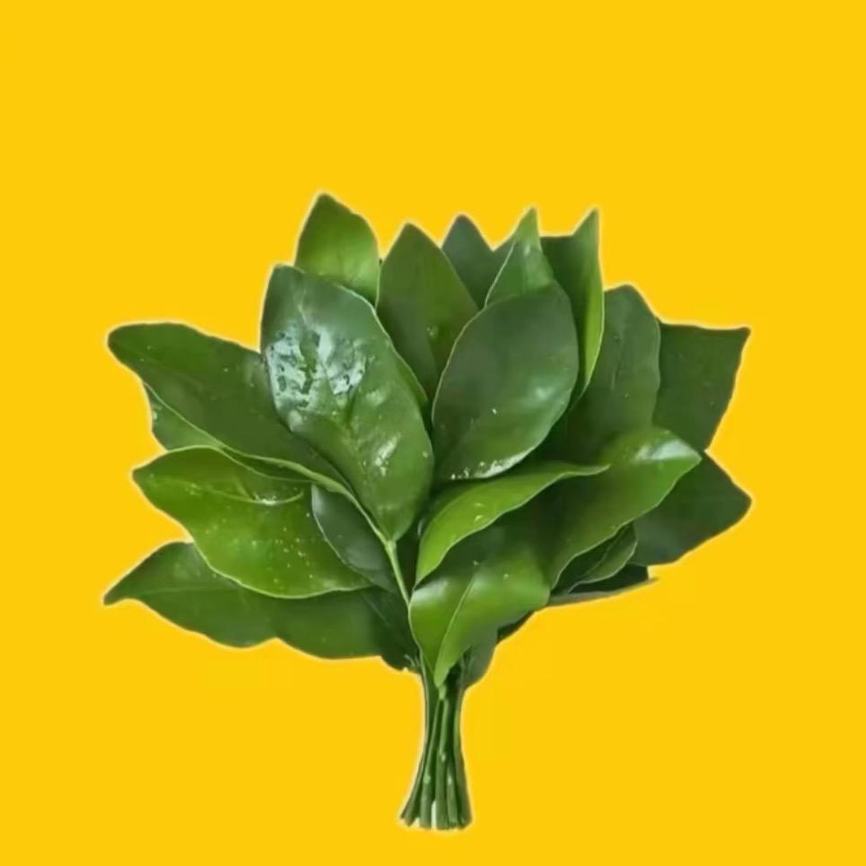 别叫我刘亦菲
