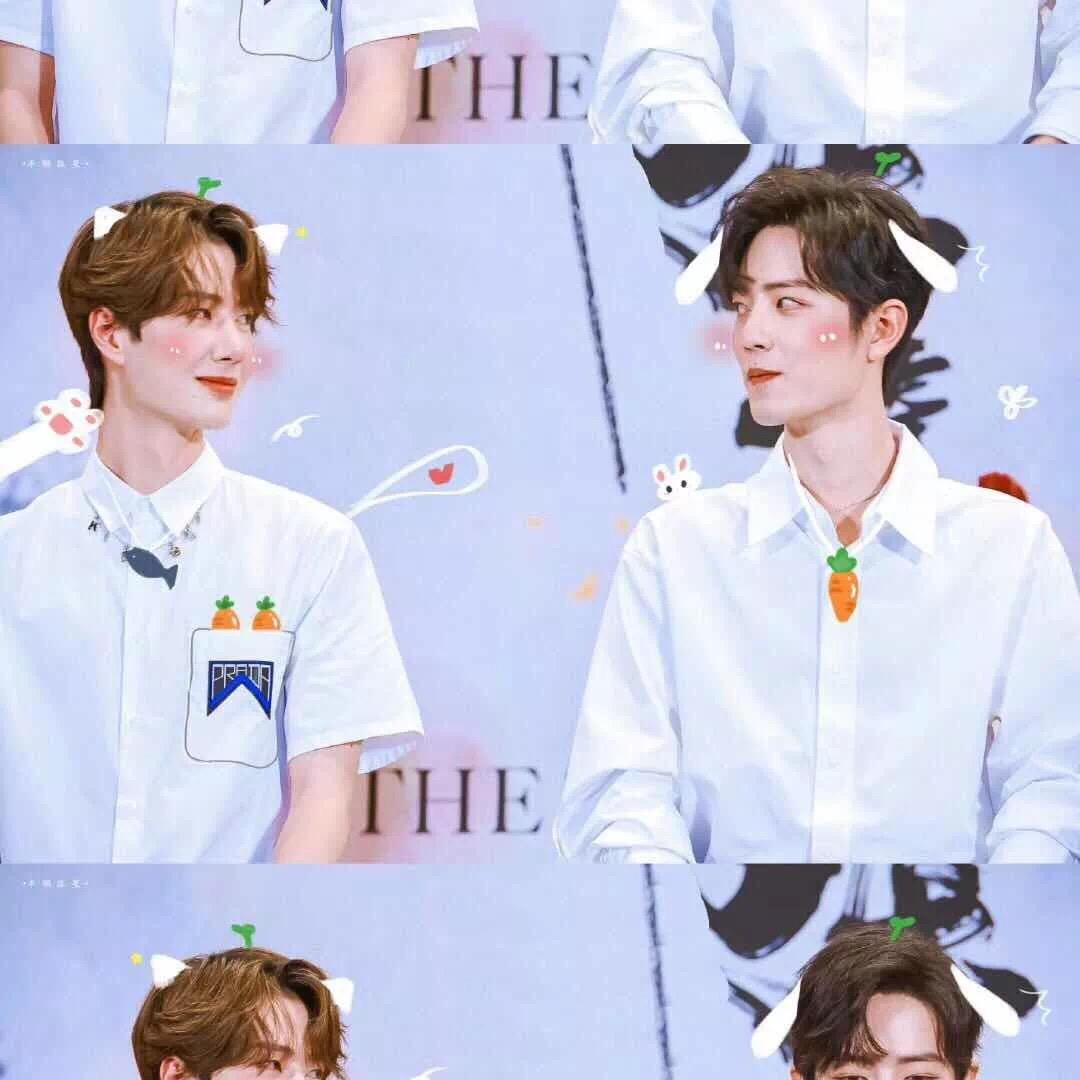 🦁🐰蓓蓓