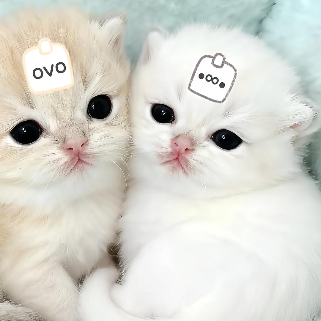 Forever